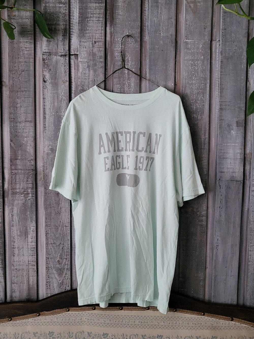 American Eagle Mens Super Soft Standard Fit Mint Green Graphic Tee Shirt Size M